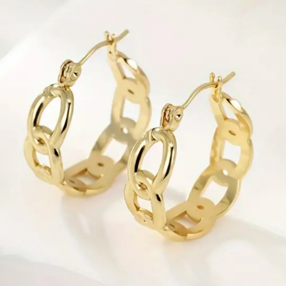 18 KT Gold over Titanium earrings